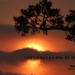 [하늘말 내말 6집] NO.322