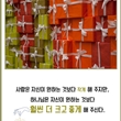 [지혜의 잠언 10집] NO.149