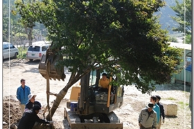월명동
