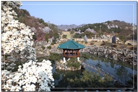 월명동