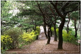 월명동