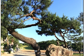 월명동