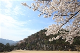 월명동영상