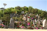 월명동영상