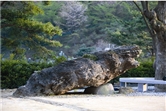 월명동영상