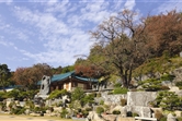 월명동영상