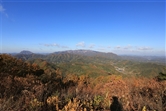 월명동영상