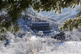 월명동