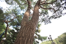 월명동