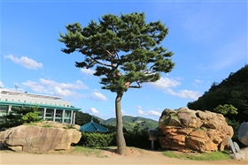월명동