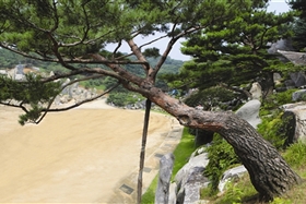 월명동