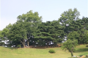 월명동