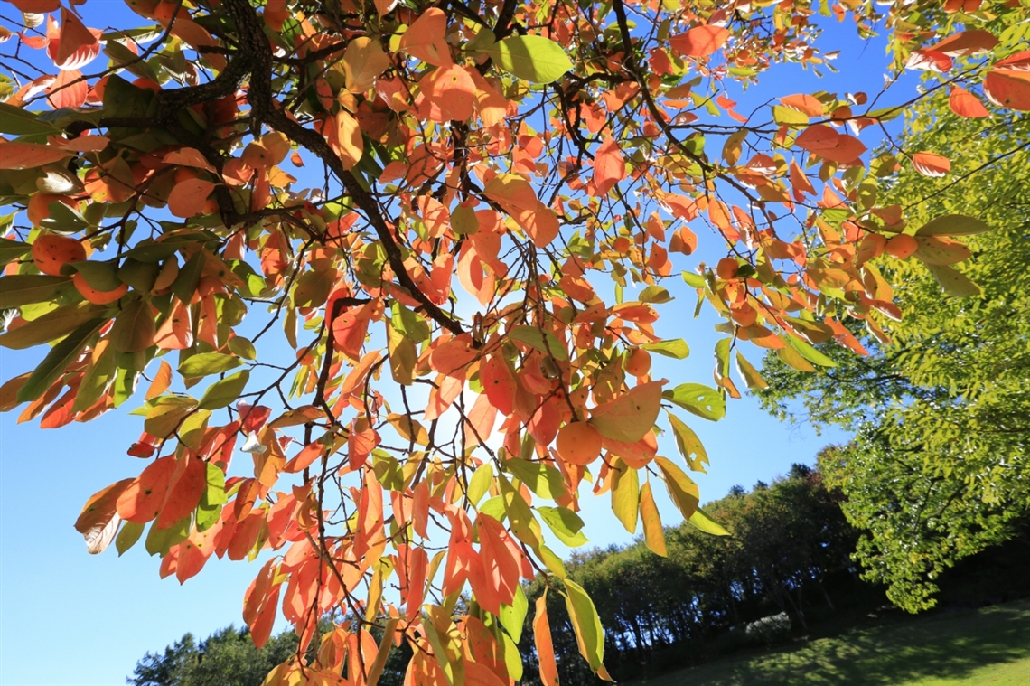 정명석 정명석목사 정명석총재 정명석교주 정명석선생 월명동 jms 기독교복음선교회 상록수 월성 만남과대화 그것이알고싶다정명석