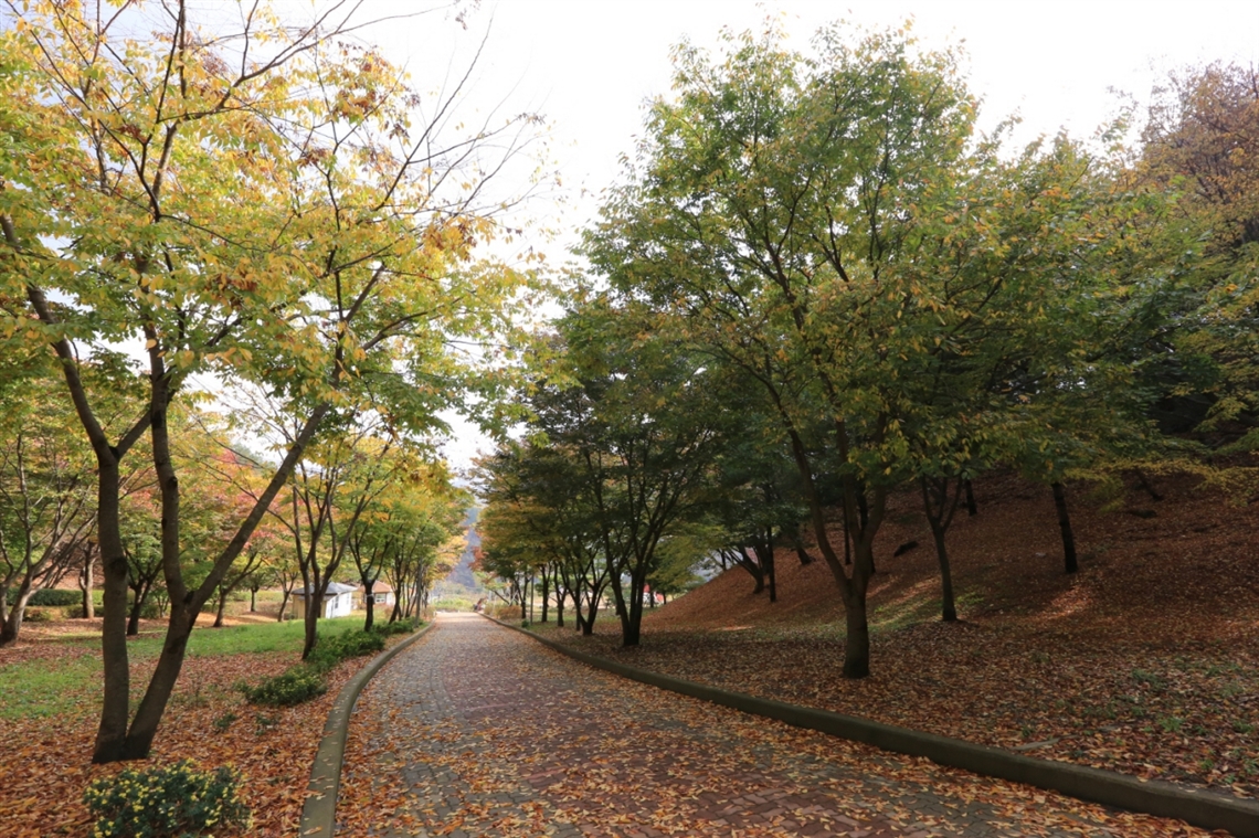 월명동 설립자 jms 정명석목사 하늘과 땅의 아름다운 조화를 보여주는 아름답고 신비하고 웅장한 자연성전 월명동 정명석선생이 태어난 달이 밝은 월명동 기독교복음선교회 정명석총재가 만든 월명동  상록수 월성 월명동의 아름다운 풍경 정명석총재 정명석교주 만남과대화 그것이알고싶다정명석