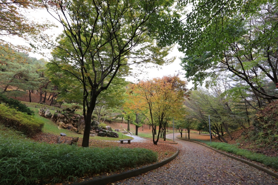 월명동 설립자 jms 정명석목사 하늘과 땅의 아름다운 조화를 보여주는 아름답고 신비하고 웅장한 자연성전 월명동 정명석선생이 태어난 달이 밝은 월명동 기독교복음선교회 정명석총재가 만든 월명동  상록수 월성 월명동의 아름다운 풍경 정명석총재 정명석교주 만남과대화 그것이알고싶다정명석