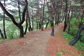월명동