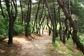 월명동