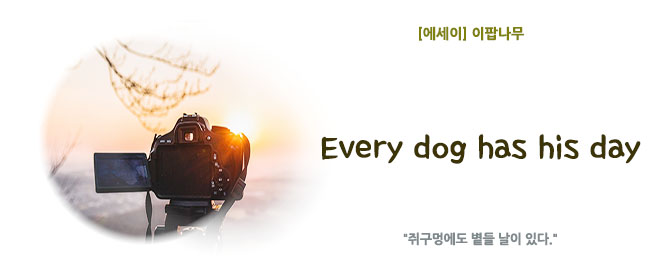 20221025Every dog has his day.jpg