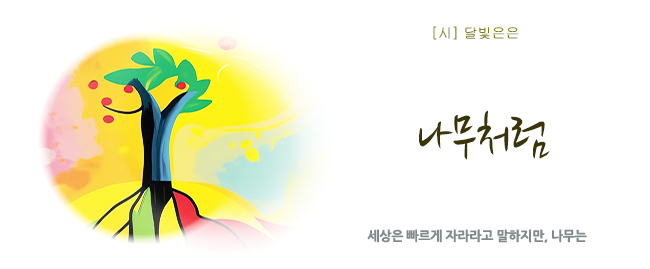 20251027ㄴㅏ무.jpg