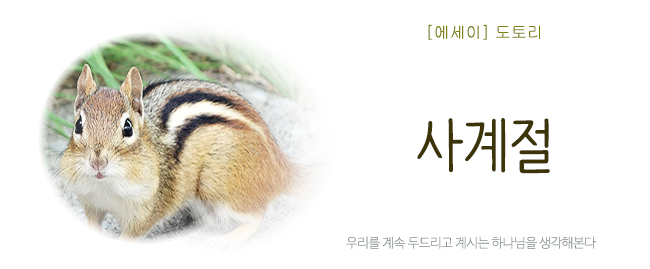 20250615사계절.jpg