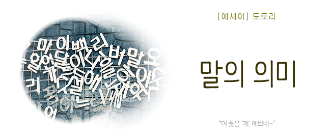 20250627말의의미.jpg