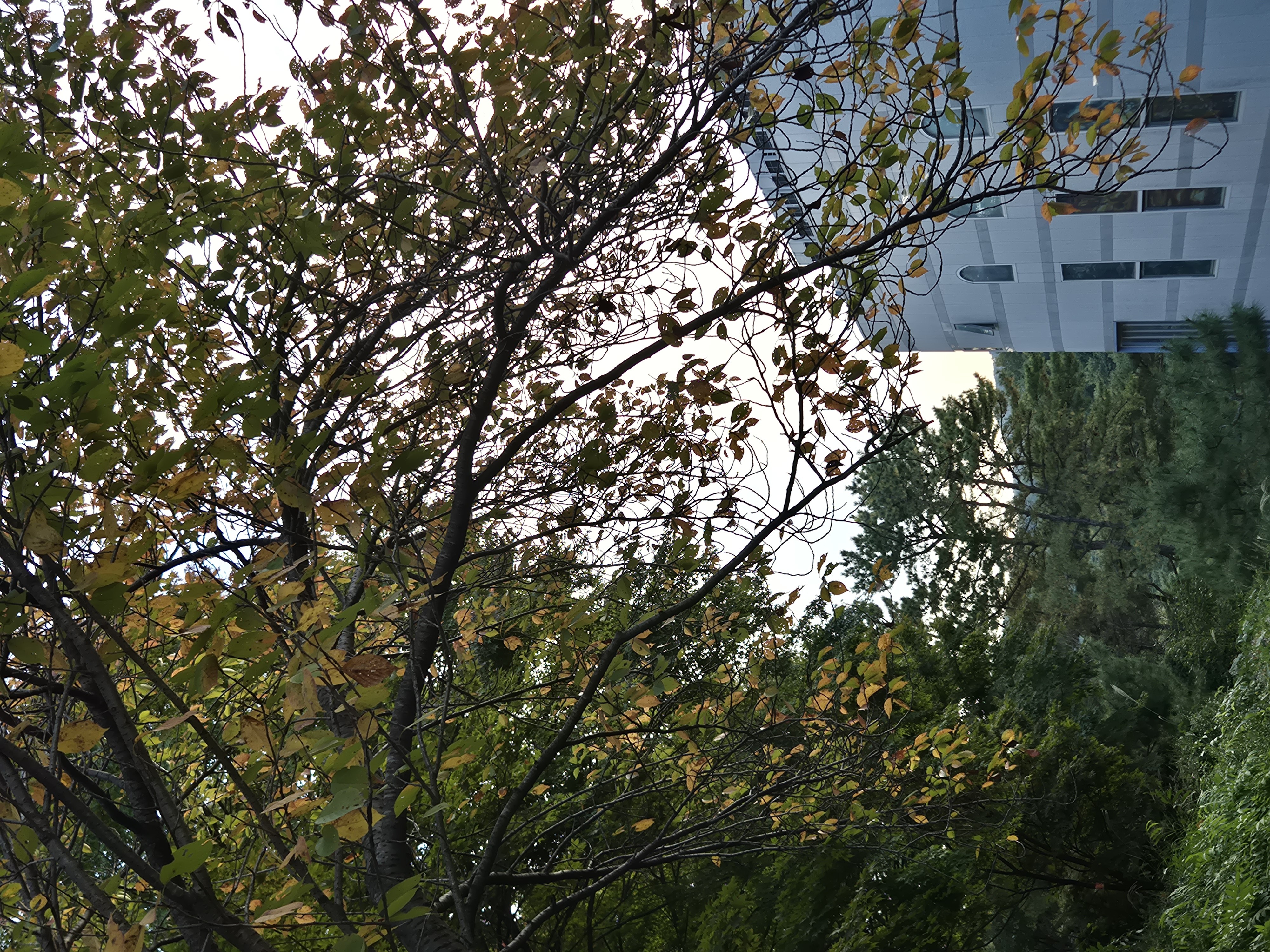 20261009_165333.jpg