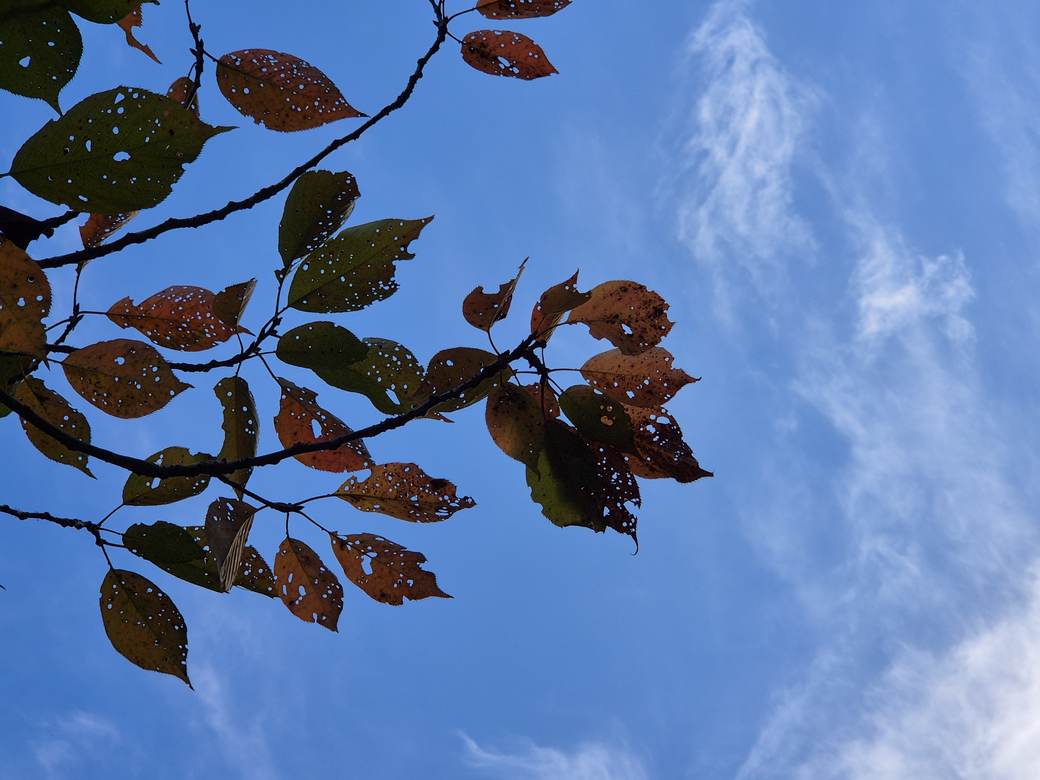 20261009_165413.jpg
