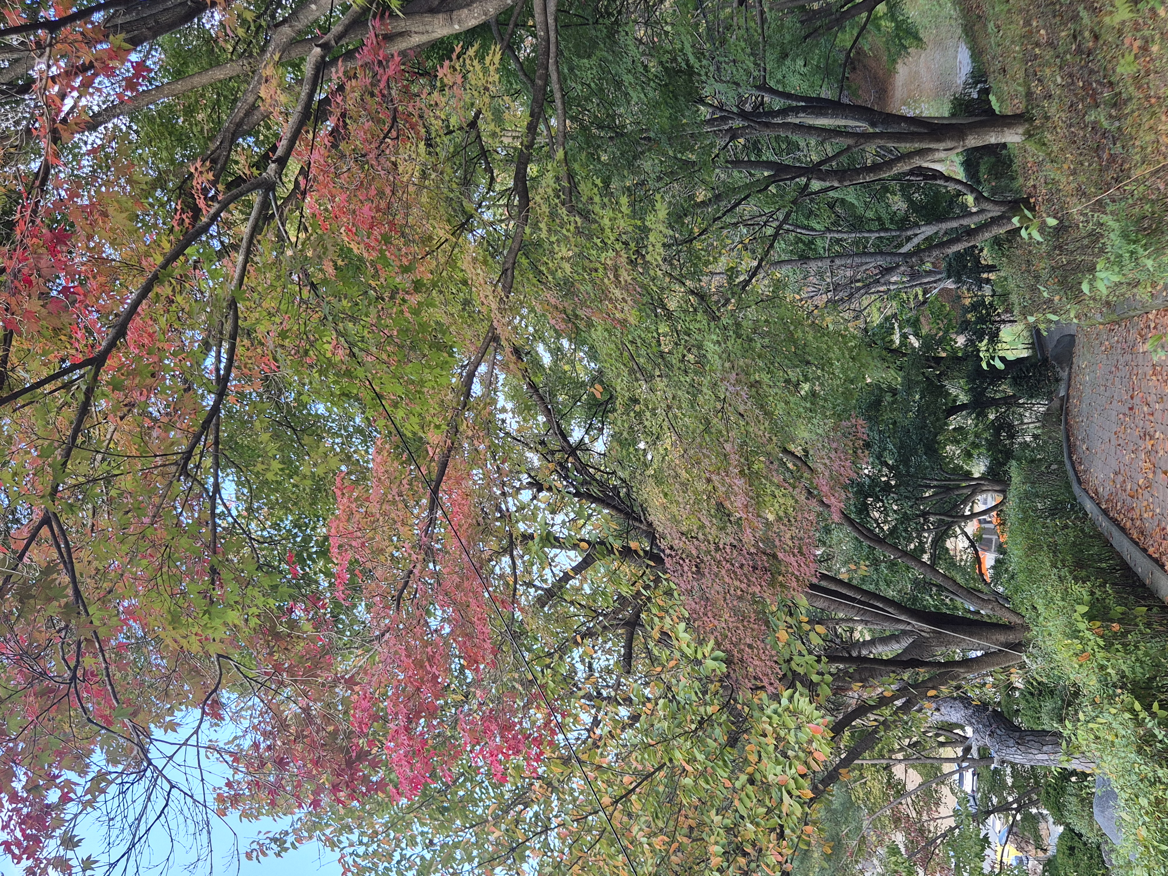 20261009_165432.jpg