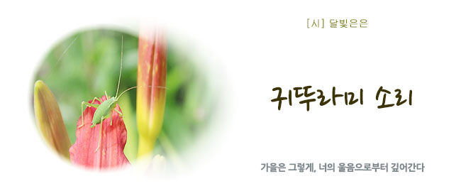 20261015소나무를읽다.jpg