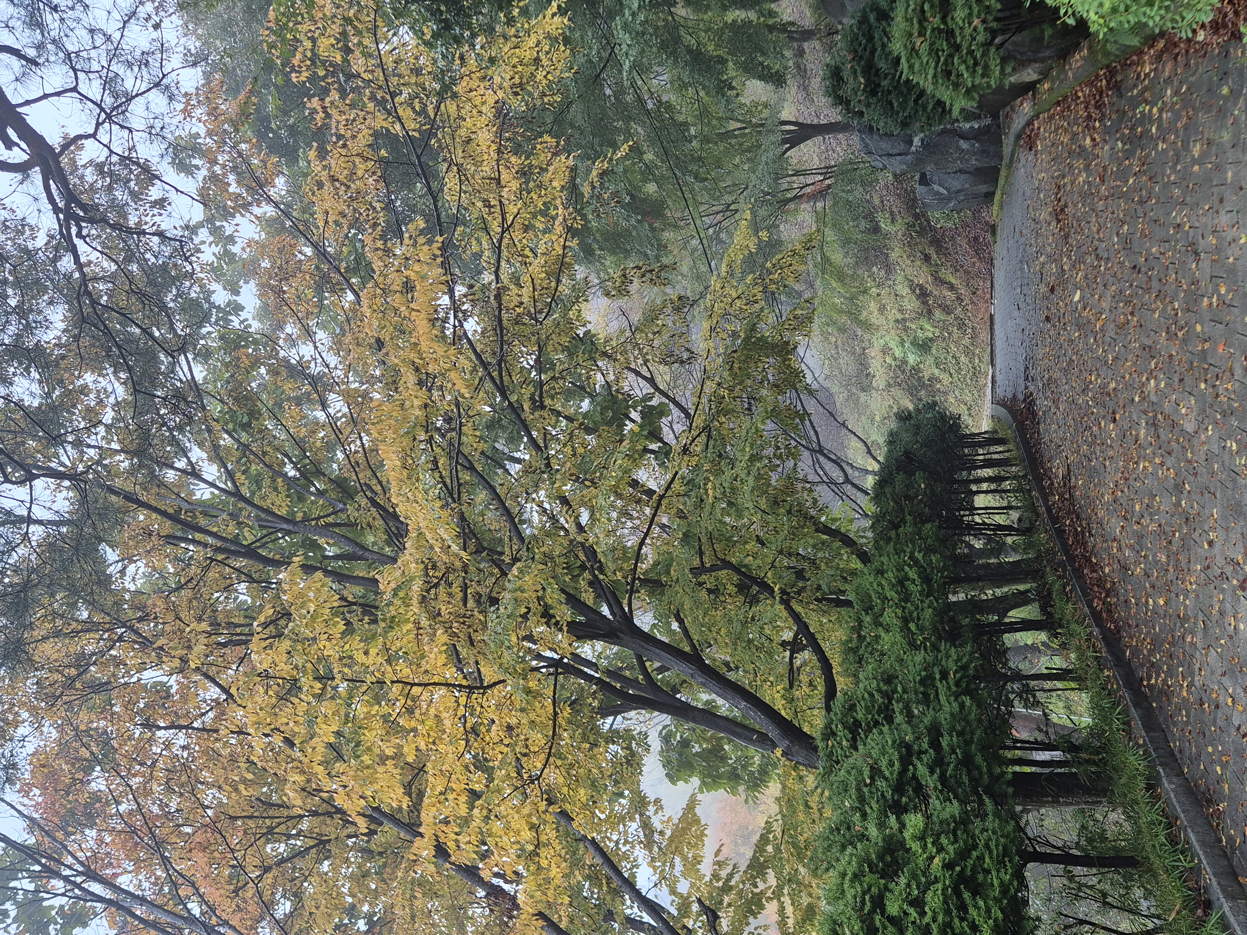 20261025_082633.jpg
