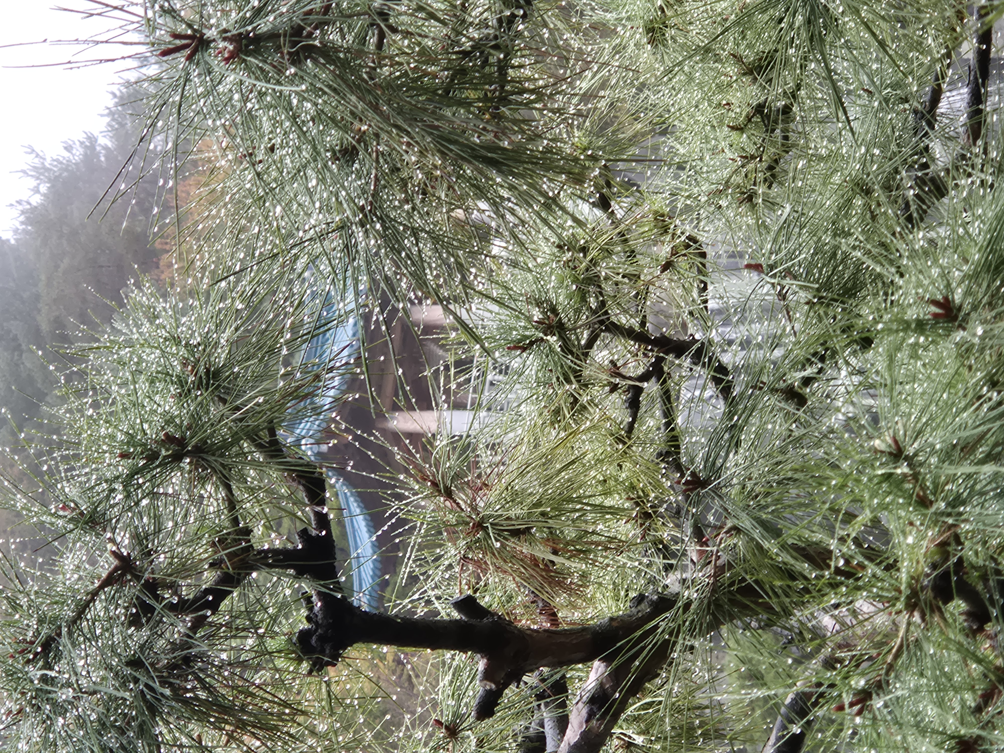 20261025_092551.jpg