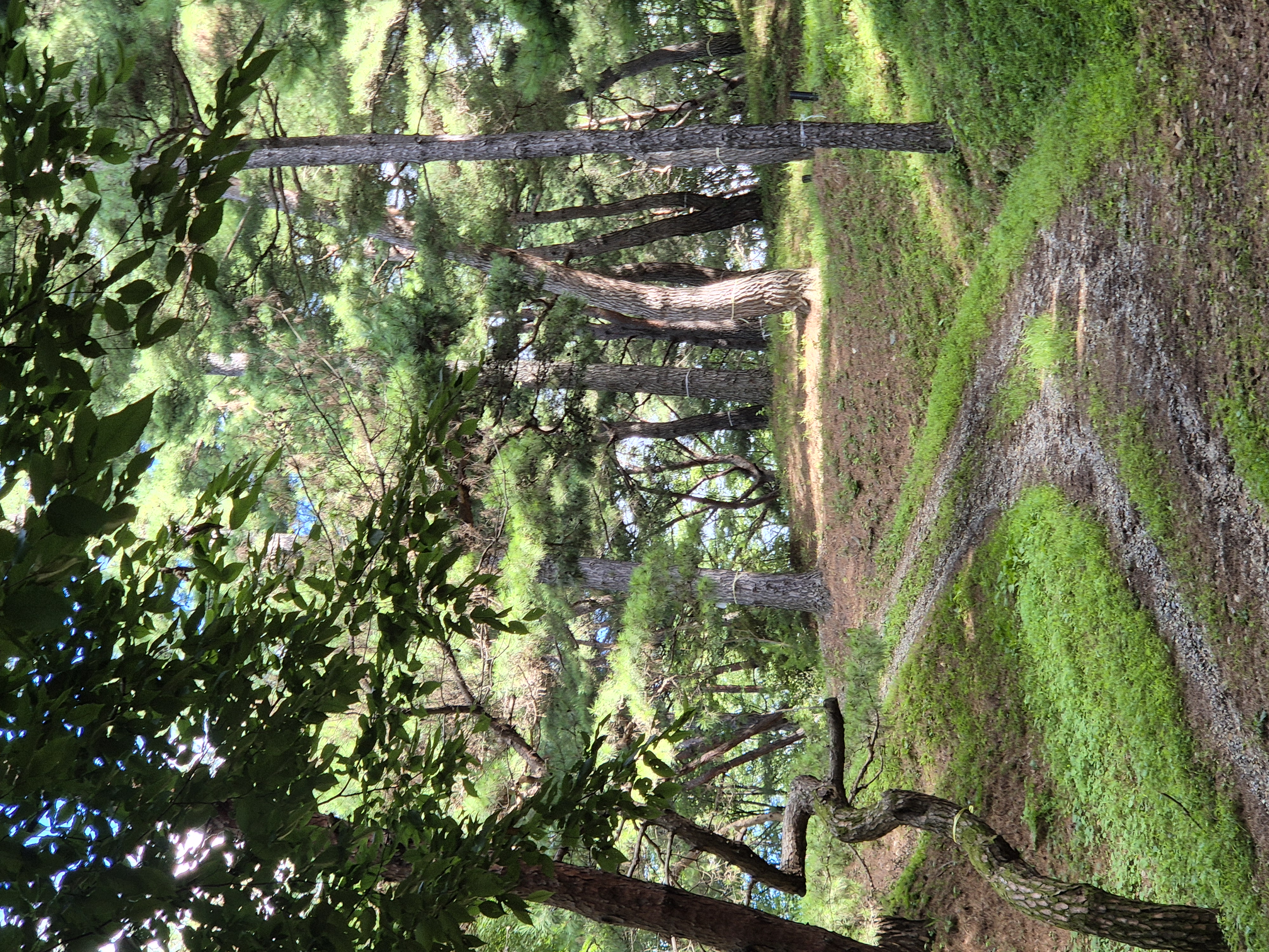20260726_085720.jpg