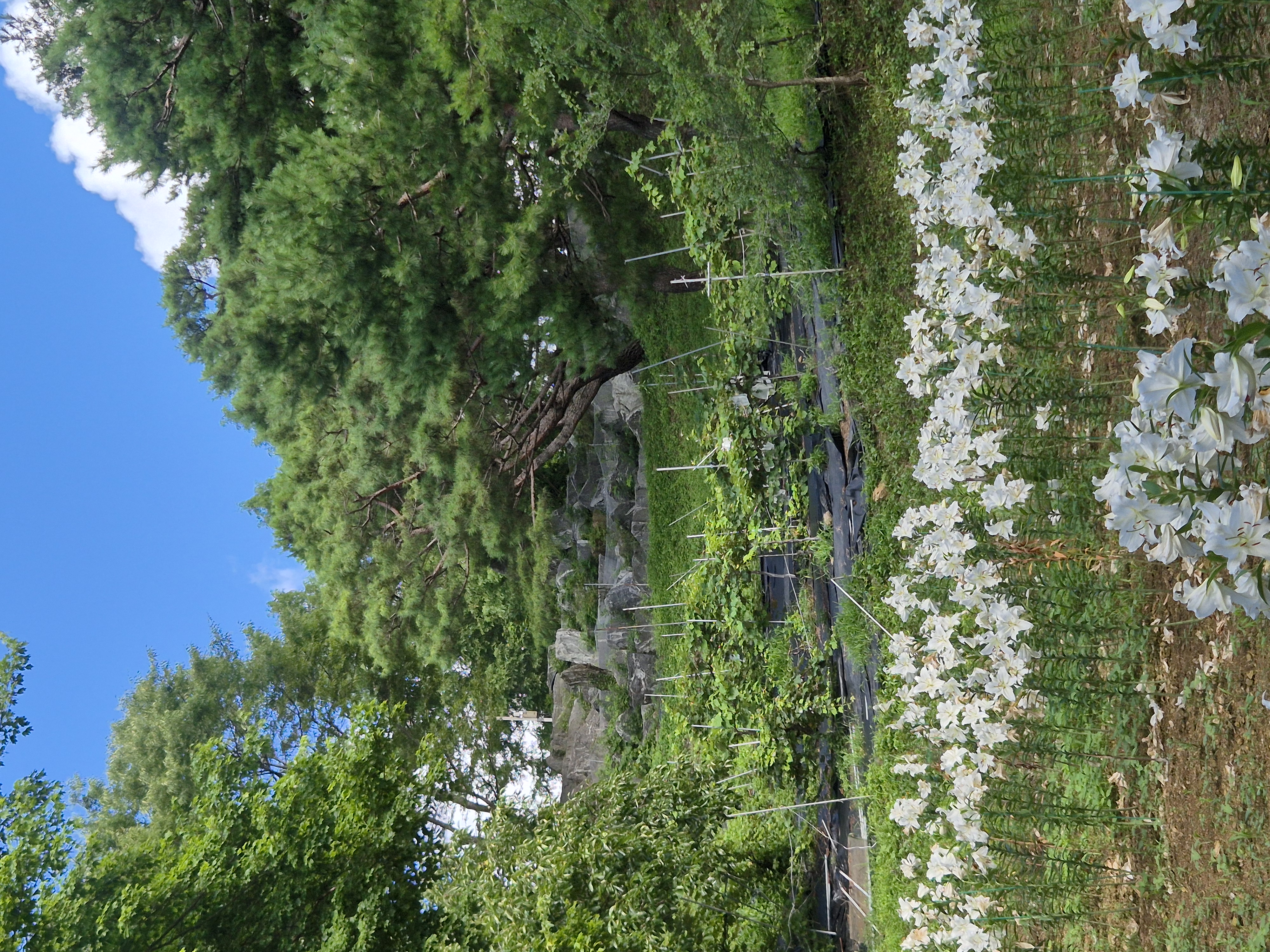 20260726_091029.jpg