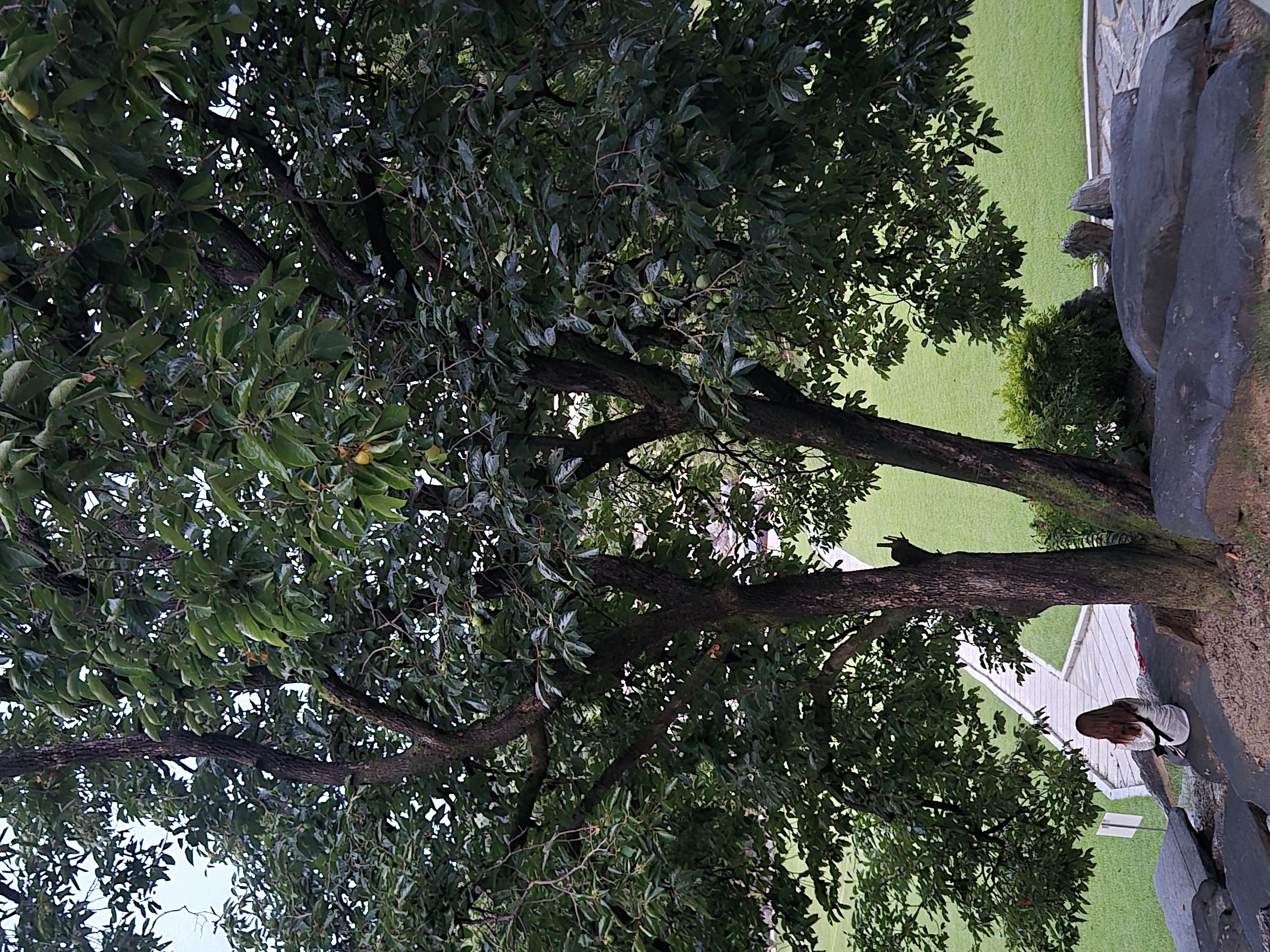 20260912_185907.jpg