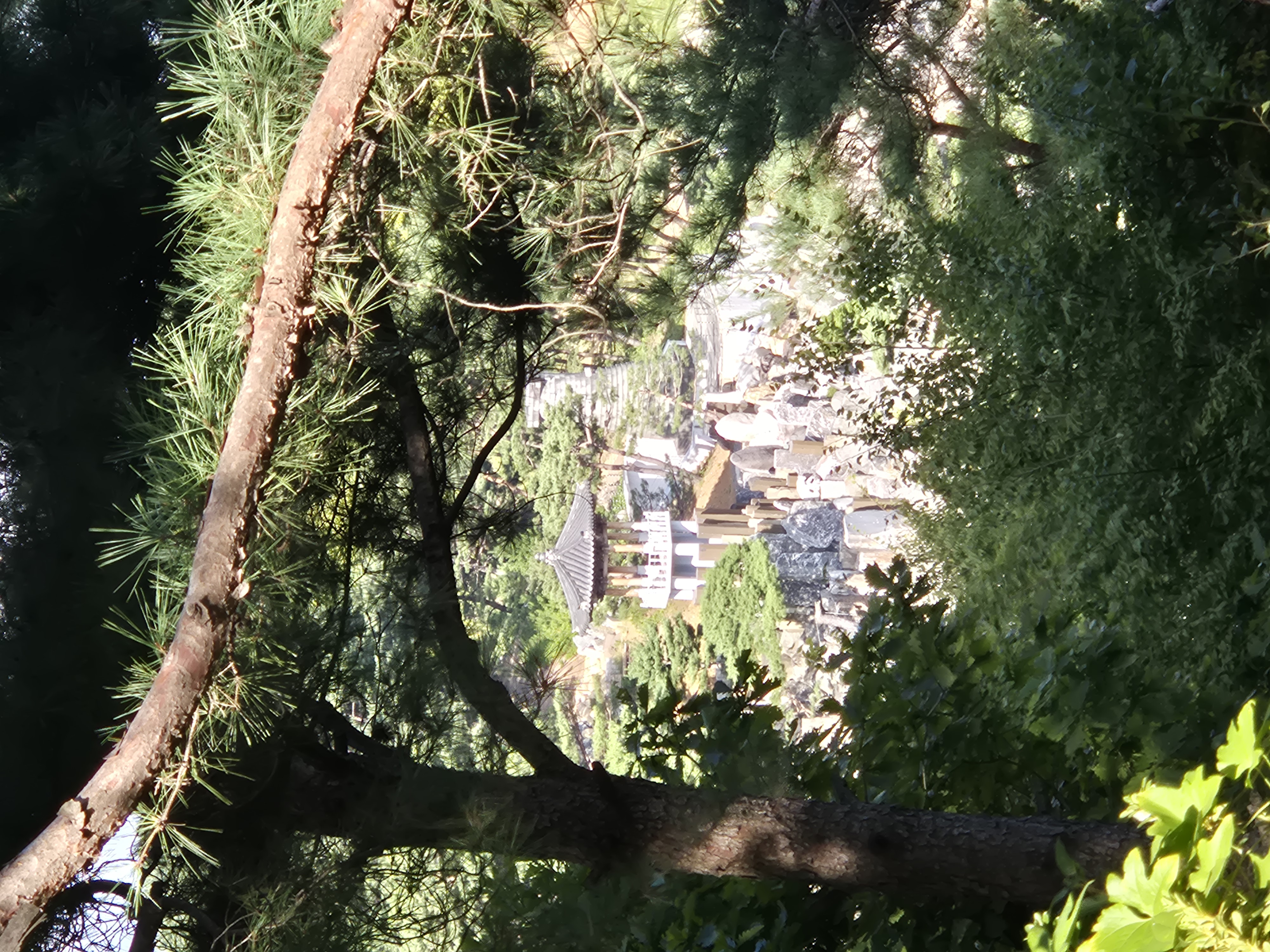 20260919_153703.jpg