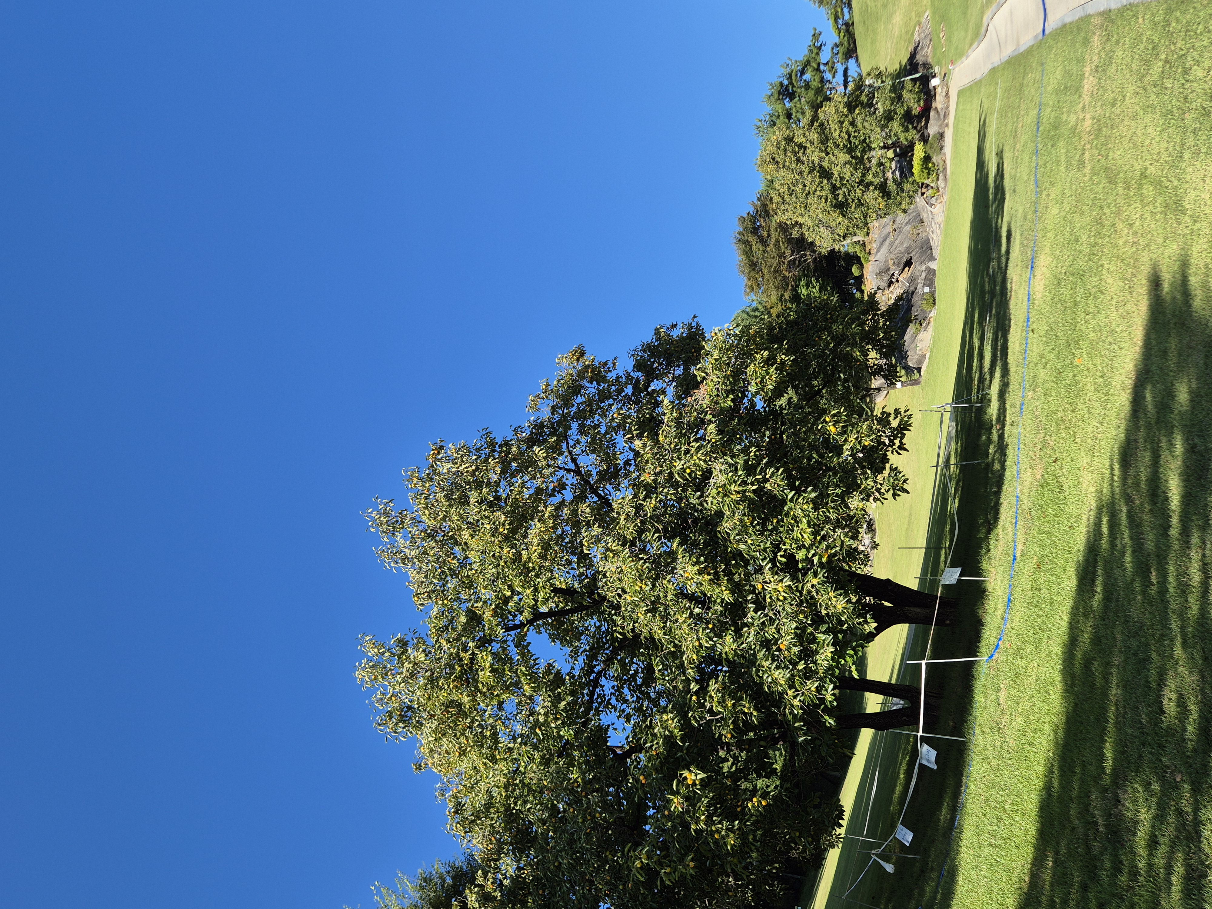 20260920_090204.jpg