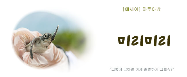 20260927미리미리.jpg