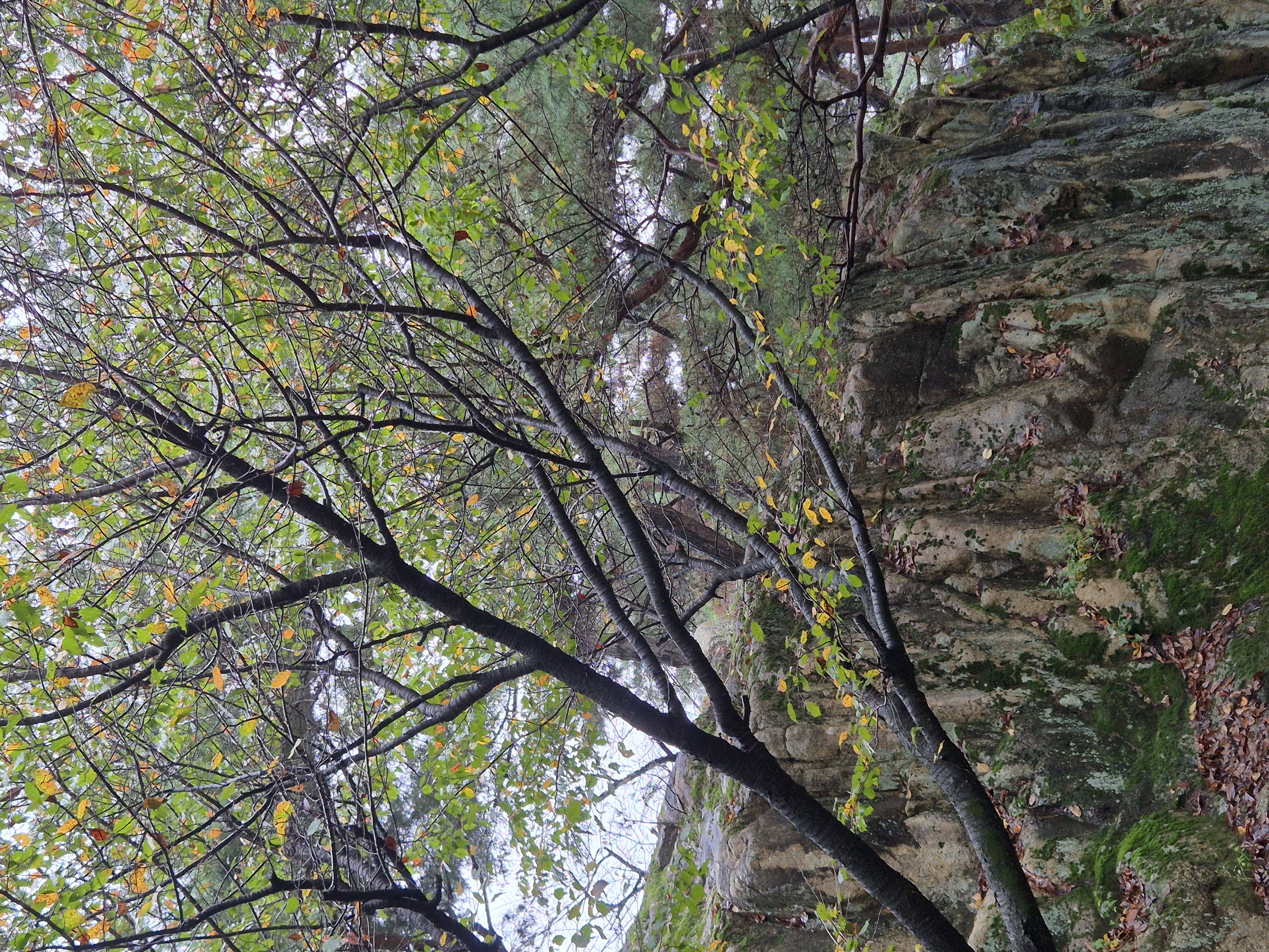 20260926_112217.jpg
