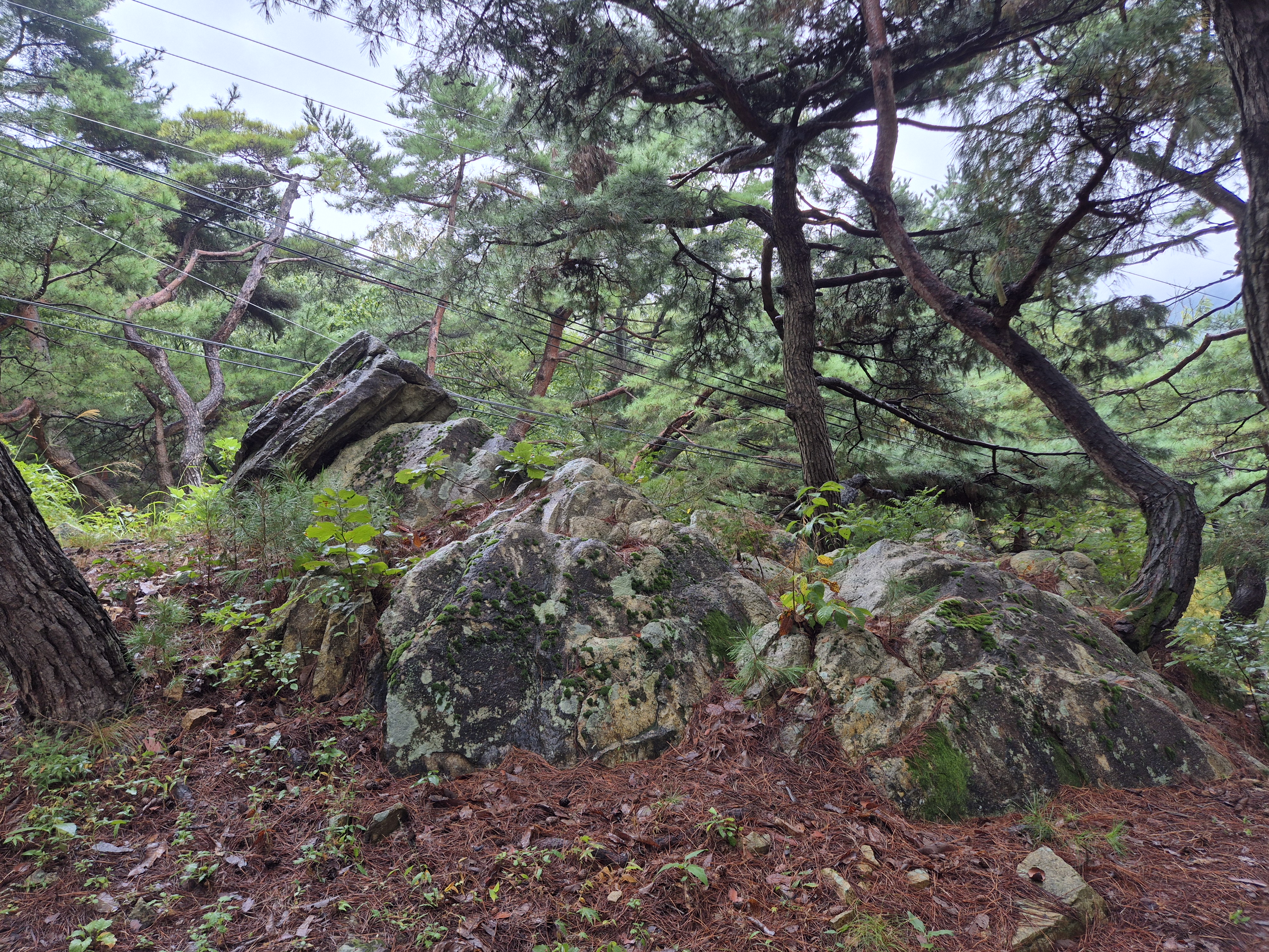 20260926_112700.jpg