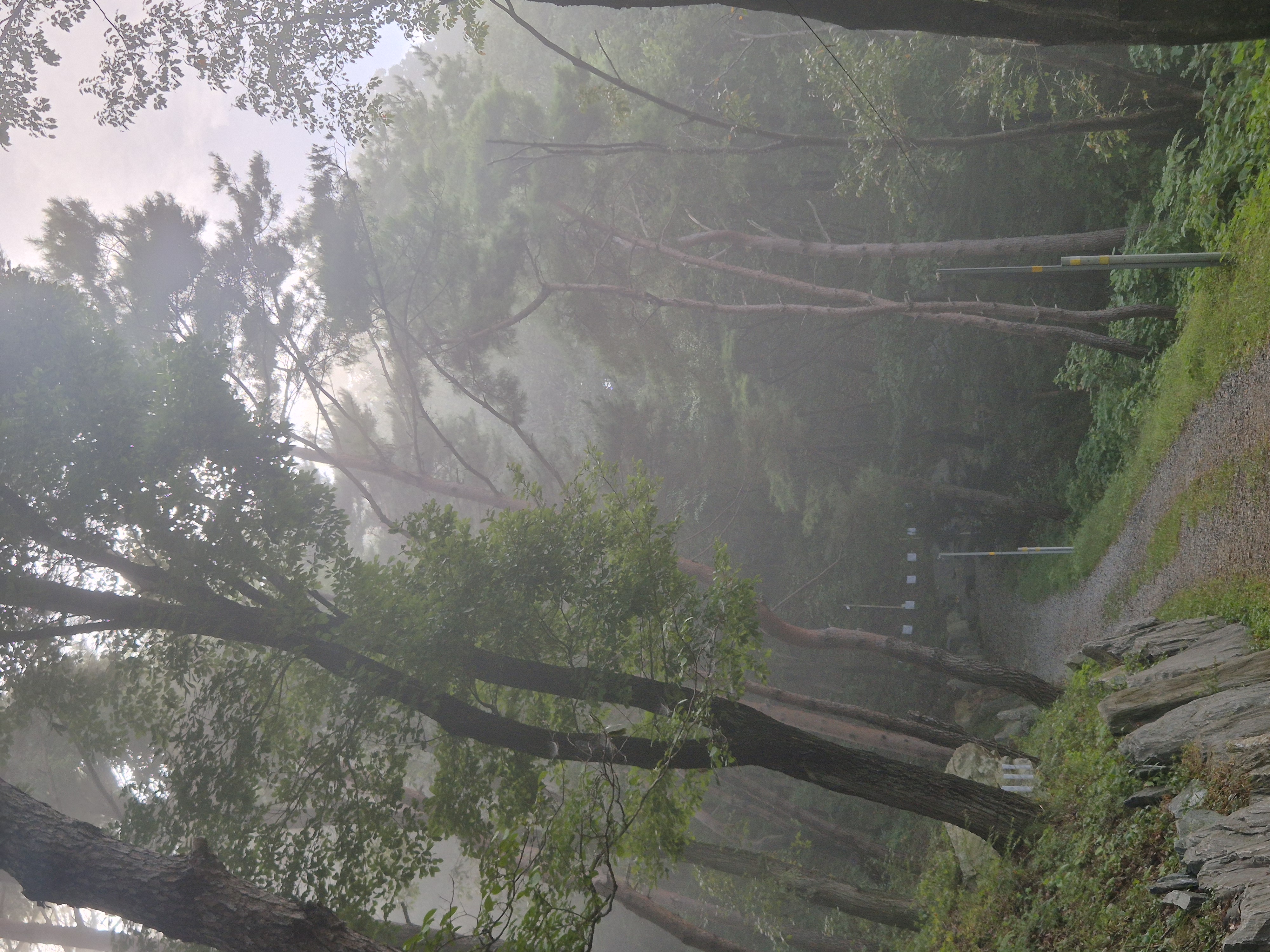 20260927_083236.jpg