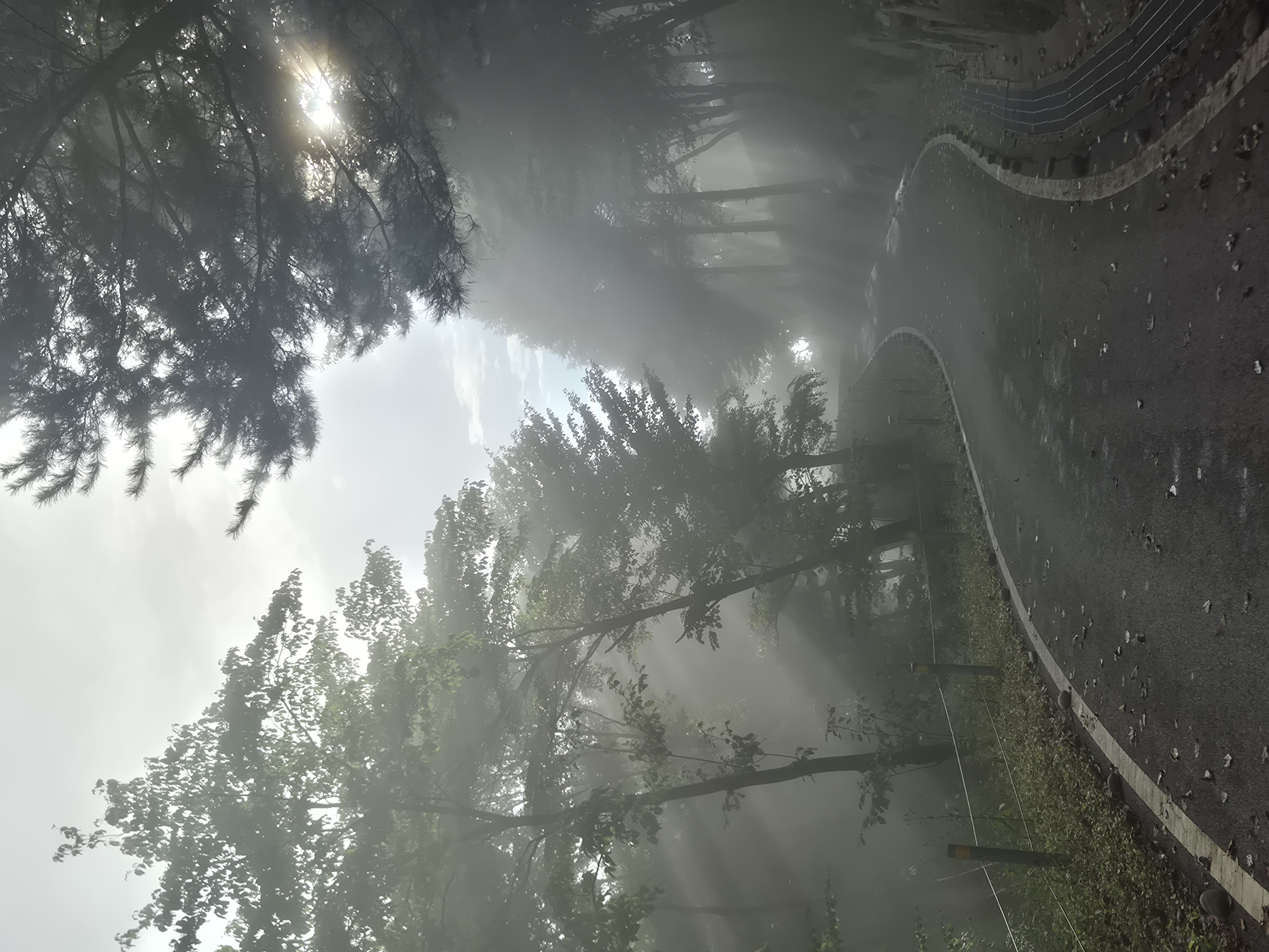20260927_083621.jpg