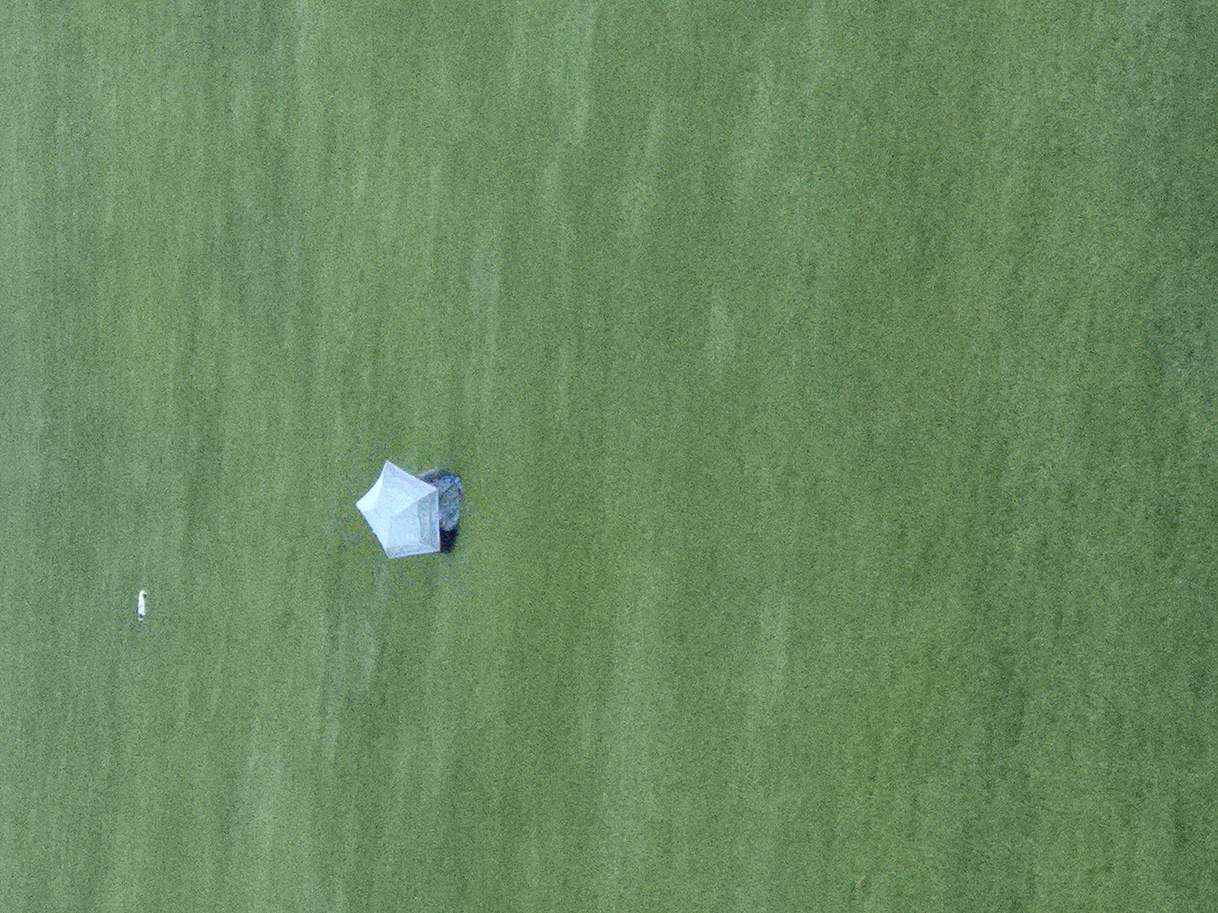 20260817_062455.jpg