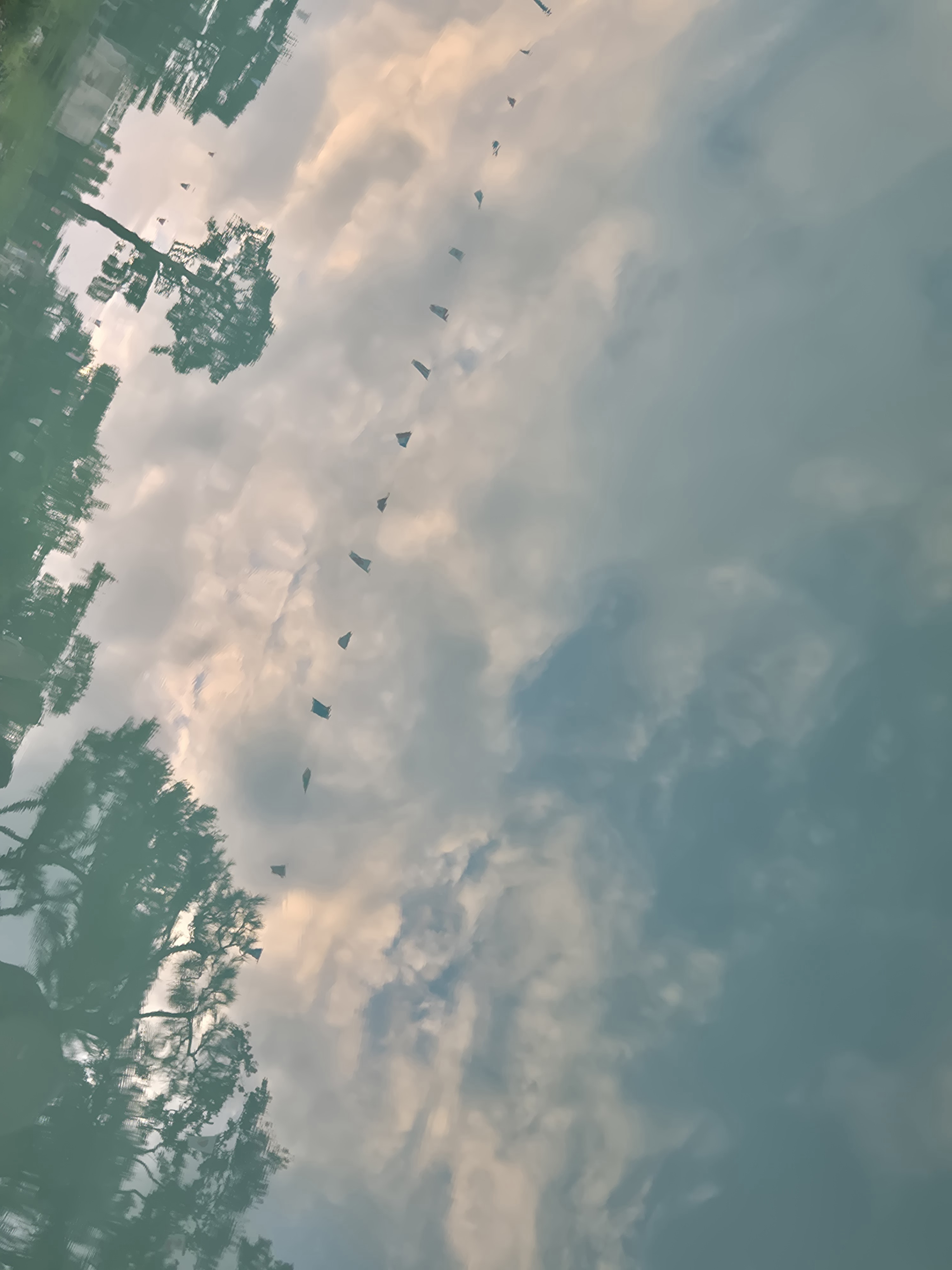 20260828_184556.jpg