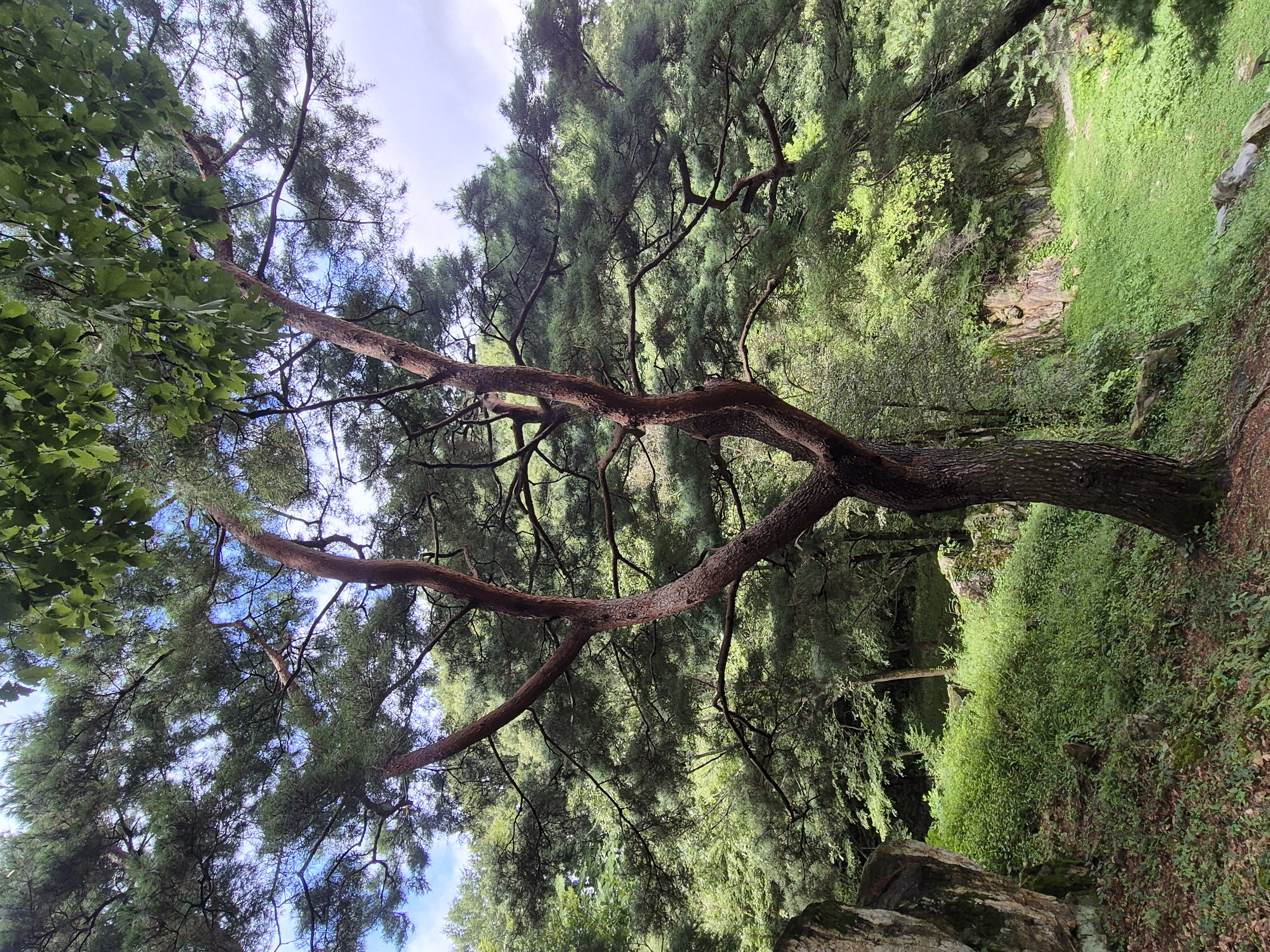 20260829_124659.jpg
