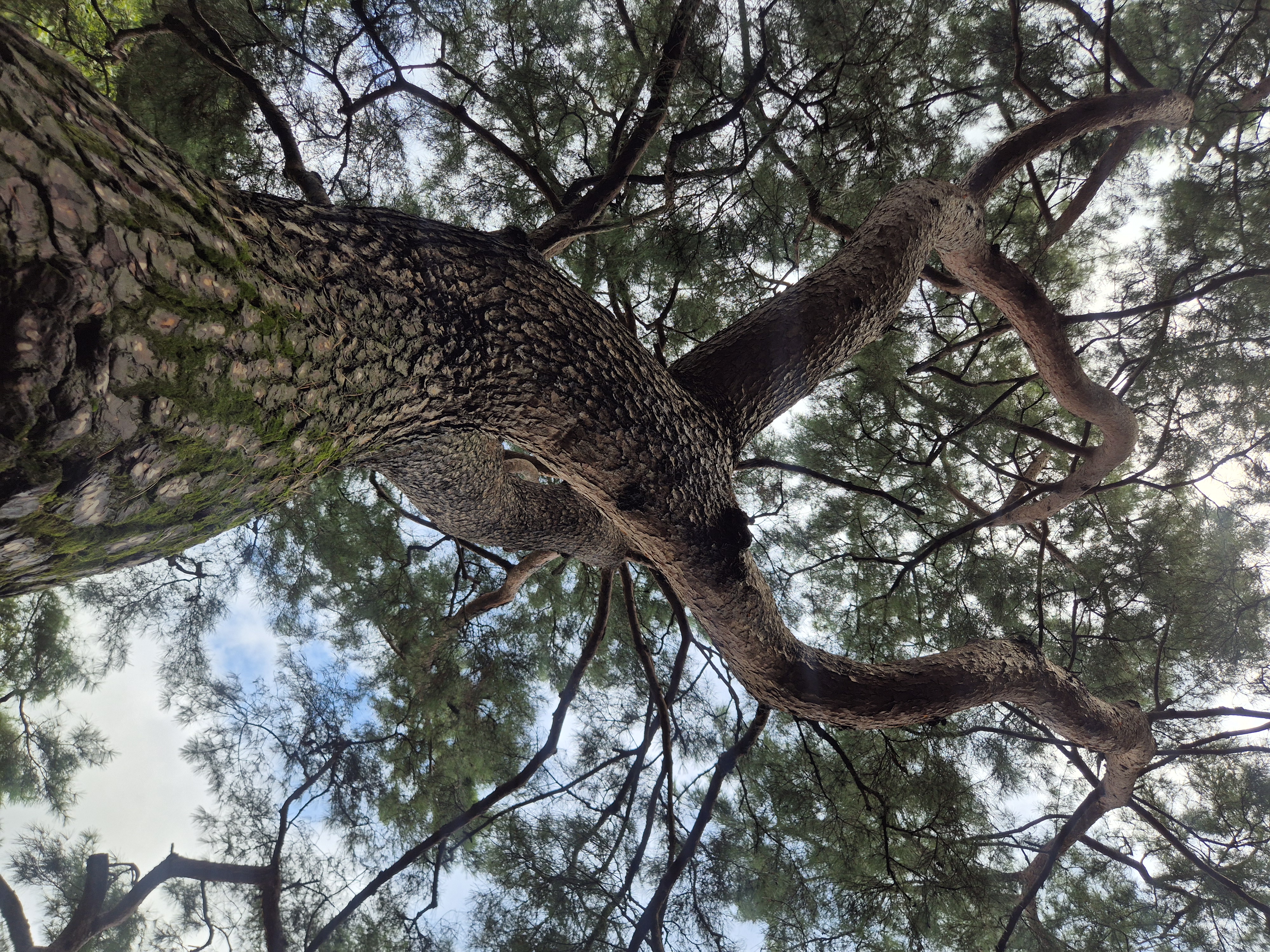 20260829_124757.jpg