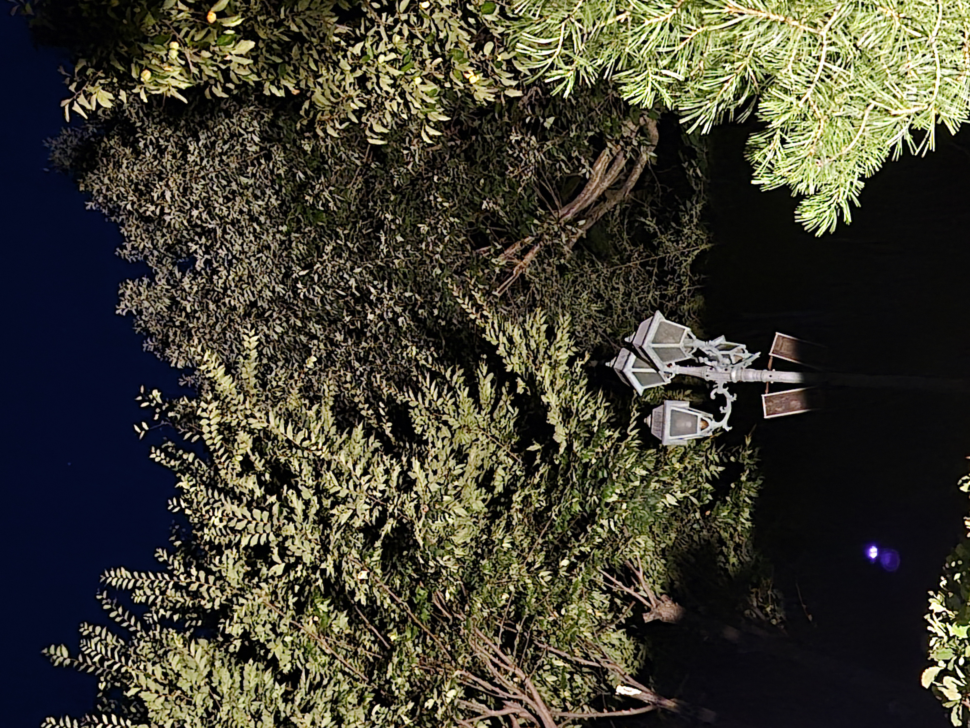 20260904_193711.jpg